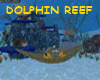 DOLPHINS REEF