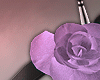 H! Crown of Roses Purple