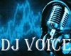 DJ VOICE