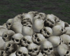 Skull Pile