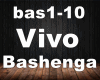 Vivo Bashenga