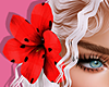 Flowers | Beach