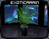 !E)ApexC: Plant