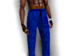 Blue Velvet Pants