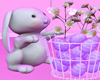 Easter Eggs Bunny♡