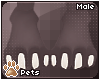 [Pets] Toxi | paws