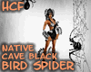 HCF native cave spider 