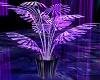 Neon Purple Hearts Plant