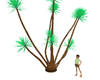 kissing palm tree