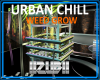 URBAN CHILL WEED GROW