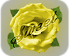  Stand Dot Yellow Rose