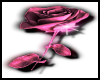 Perfect Rose(pink)