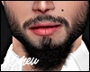 Beard Add ON MH