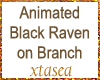 Animated Black Raven