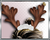 CHRISTMAS ANTLERS