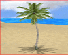 Palm Tree Animated