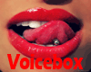 vb) Female Voice