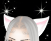 ! animated cat ears
