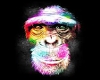 Dj System Lazer [ K ]