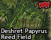 Deshret Papyrus Field