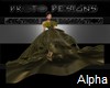 AO~Spring Gala gown