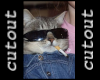 gangster pu$$y