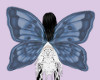 Blue Butterfly Wings/SP