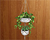 ~PS~ WH Hanging Plant