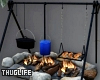 Campfire & Cooking
