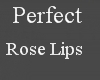Perfect Full Rose Lips