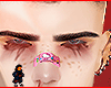 Bvitor brows