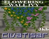 Flowering Wall Ivy ~Civ 