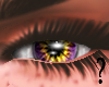 SF- Purple Orange Eye F2