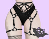 ☽ Panties / Harness