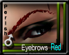 !P!Brows.Red