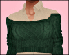 NN Fall Sweater Green