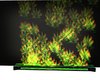 Wall Light Laser Weed