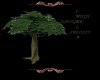[ML] Large Tall Tree