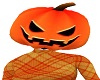 MY Pumpkin Head 2 - F