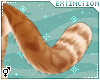 #spice: tail 3