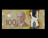 100 Canadian Money Floor