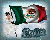 * bandera Mexico c/poses