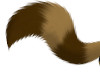 FoxSquirrel Tail