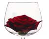 Rose in a Wine Glass