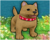 ML| Dog M|F