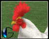 |IGI| Rooster Chicken