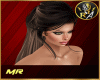 Brown Ponytail Hairstyle