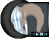 Ann's Tail