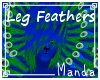 .M. Peacock Leg Feathers