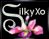Silky@Bobby